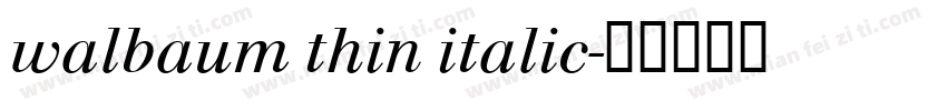 walbaum thin italic字体转换
